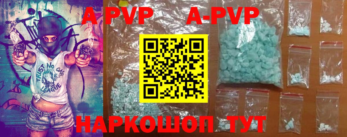 Альфа ПВП СК КРИС Гуково