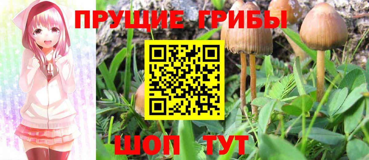 Галлюциногенные грибы Magic Shrooms Гуково