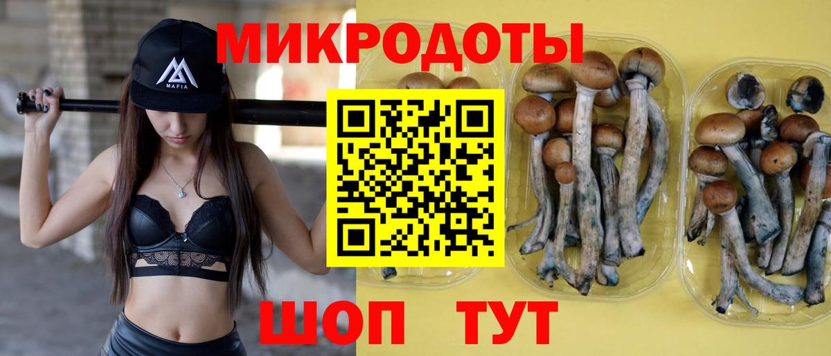Галлюциногенные грибы MAGIC MUSHROOMS  Вход с VPN  где купить наркоту  Гуково 